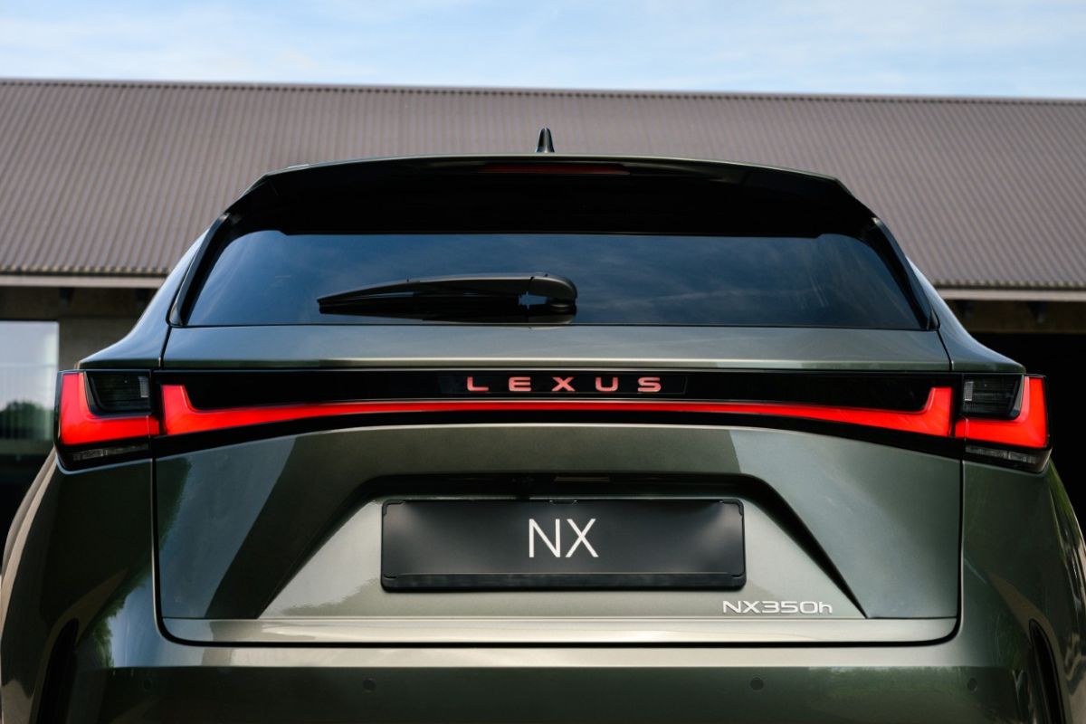 nx-3